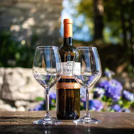 Pocitniska Hiska Skedenj * Deskle