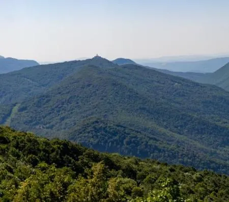 Pocitniska Hiska Skedenj Pansiyon *